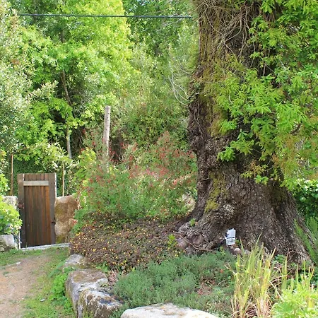 Casa De Vilar De Rei, Ferias Em Familia Com Piscina Nyaraló *