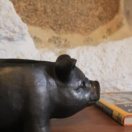 Casa De Vilar De Rei, Ferias Em Familia Com Piscina 펜션