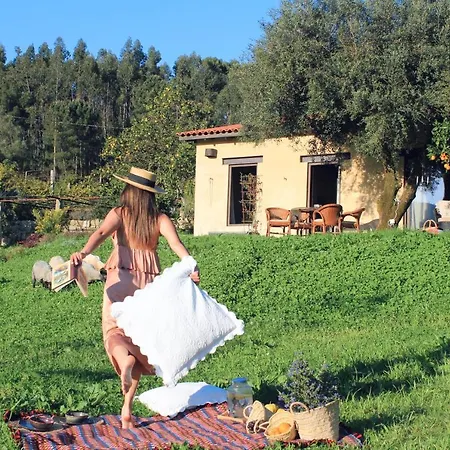 Casa De Vilar De Rei, Ferias Em Familia Com Piscina Tatil Evi *