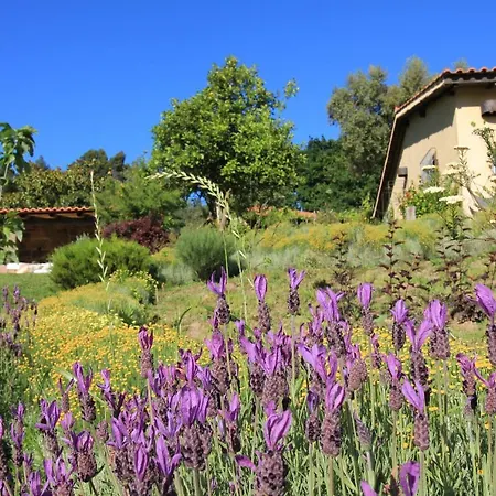 Tatil Evi Casa De Vilar De Rei, Ferias Em Familia Com Piscina *