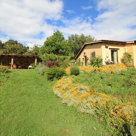 Дом отдыха Casa De Vilar De Rei, Ferias Em Familia Com Piscina Понте-де-Лима