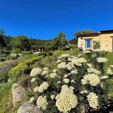 Casa De Vilar De Rei, Ferias Em Familia Com Piscina * 폰테 데 리마