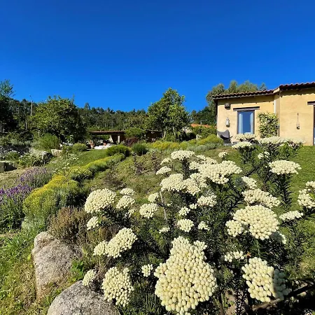 Casa De Vilar De Rei, Ferias Em Familia Com Piscina * Ponte de Lima