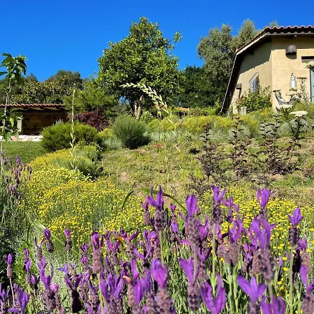 Tatil Evi Casa De Vilar De Rei, Ferias Em Familia Com Piscina *