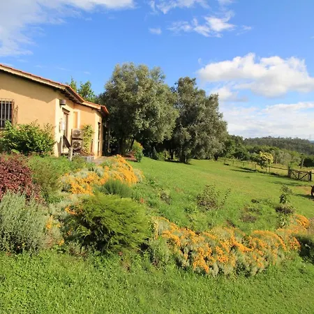 Casa De Vilar De Rei, Ferias Em Familia Com Piscina بيت للعطل
