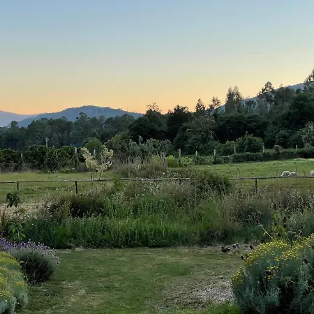 Casa De Vilar De Rei, Ferias Em Familia Com Piscina 펜션