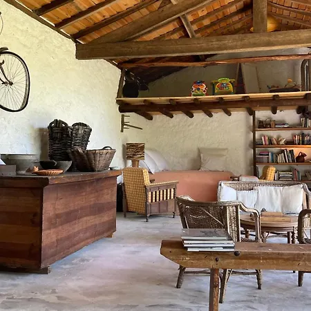 Casa De Vilar De Rei, Ferias Em Familia Com Piscina Holiday home