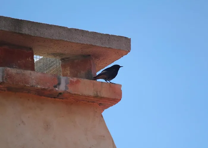 Casa De Vilar De Rei, Ferias Em Familia Com Piscina Semesterbostad