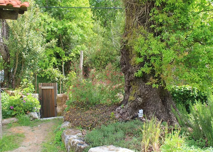 Casa De Vilar De Rei, Ferias Em Familia Com Piscina Semesterbostad *
