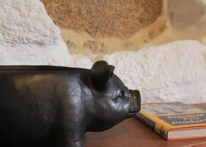 Casa De Vilar De Rei, Ferias Em Familia Com Piscina Vakantiehuis