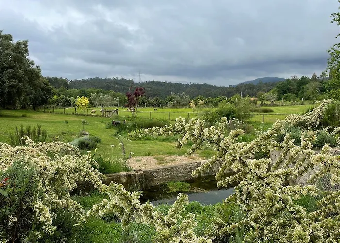 Casa De Vilar De Rei, Ferias Em Familia Com Piscina