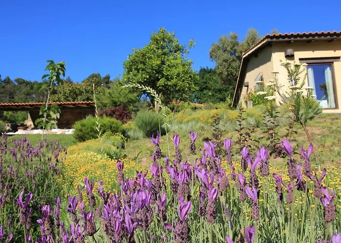 Semesterbostad Casa De Vilar De Rei, Ferias Em Familia Com Piscina *