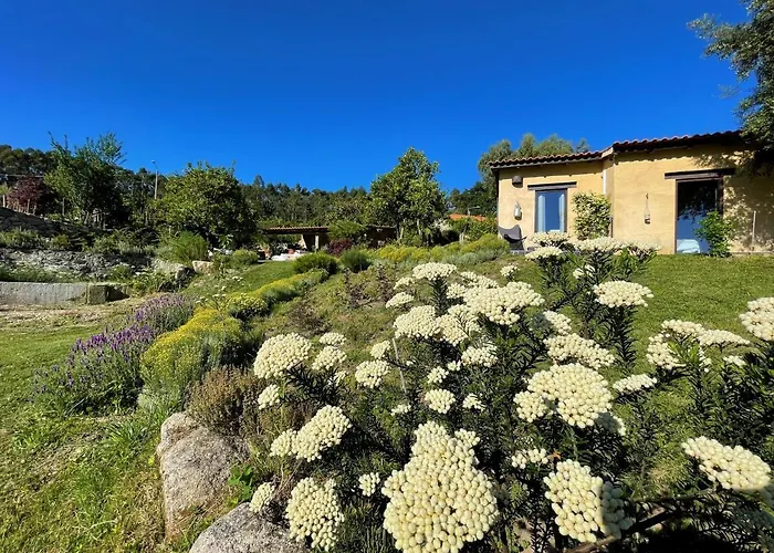 Casa De Vilar De Rei, Ferias Em Familia Com Piscina * Ponte de Lima