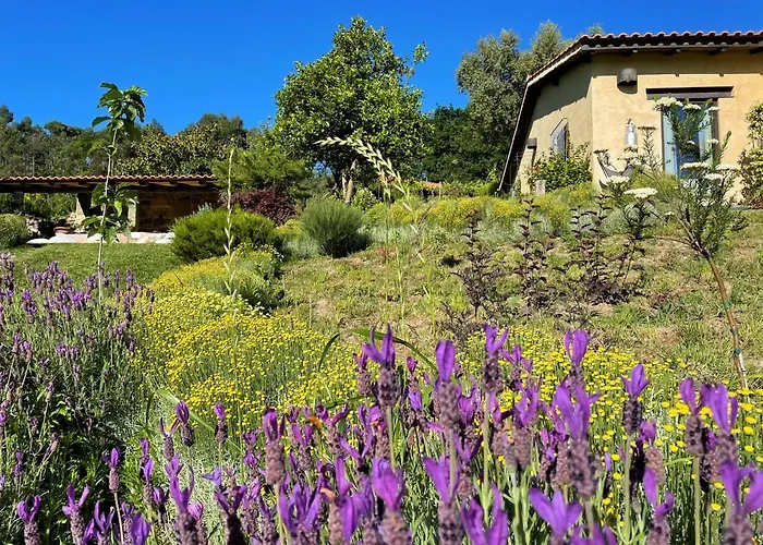 Vakantiehuis Casa De Vilar De Rei, Ferias Em Familia Com Piscina *