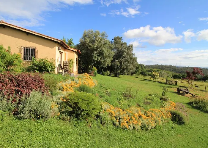 Casa De Vilar De Rei, Ferias Em Familia Com Piscina Semesterbostad