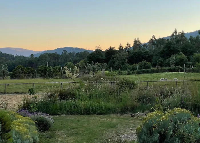 Casa De Vilar De Rei, Ferias Em Familia Com Piscina Semesterbostad